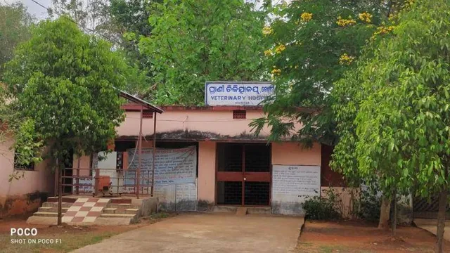 ଜିଲ୍ଲାର ୩୨ ପ୍ରାଣୀ ଚିକିତ୍ସକଙ୍କ ସାମୂହିକ ଇସ୍ତଫା ଜିଦ୍, ବିପଦରେ ୫ଲକ୍ଷ ଗୃହପାଳିତ ପଶୁପକ୍ଷୀ