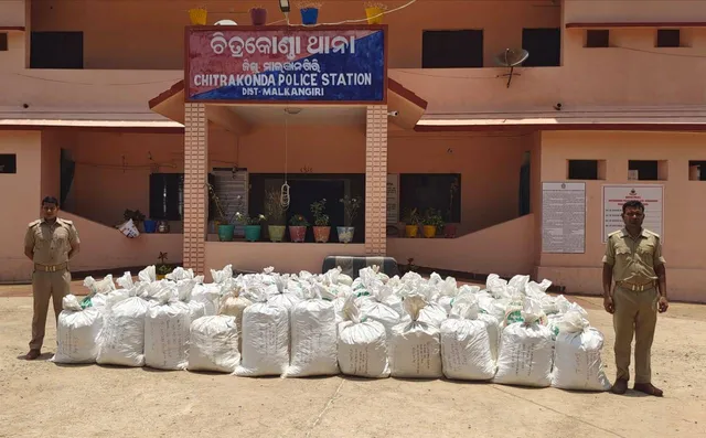 ୨ କୋଟି ୧୫ ଲକ୍ଷ ଟଙ୍କାର ଗଞ୍ଜେଇ ଜବତ, ଅଭିଯୁକ୍ତ ଫେରାର