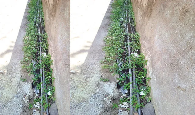 ଜୀବନ ସହ ଖେଳ: ନାଳ ଭିତରେ ଯାଇଛି ପାଣି ପାଇପ୍, ଜଳ ପ୍ରଦୂଷଣ ହେବା ସହ ଧନଜୀବନ କ୍ଷତି ହେବାର ଆଶଙ୍କା