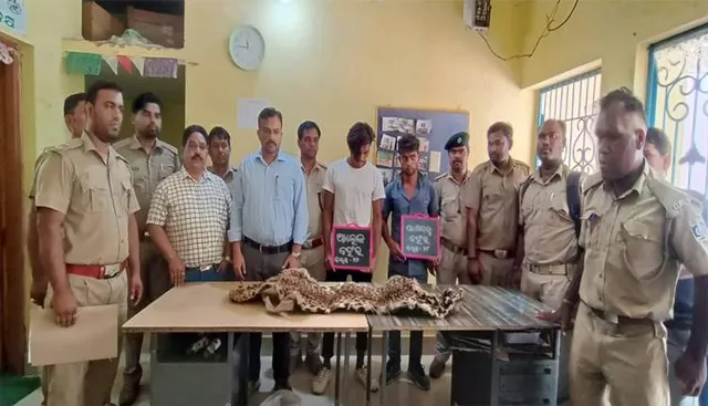 ବାଘ ଛାଲ ଜବତ, ୨ ମାଫିଆ ଗିରଫ