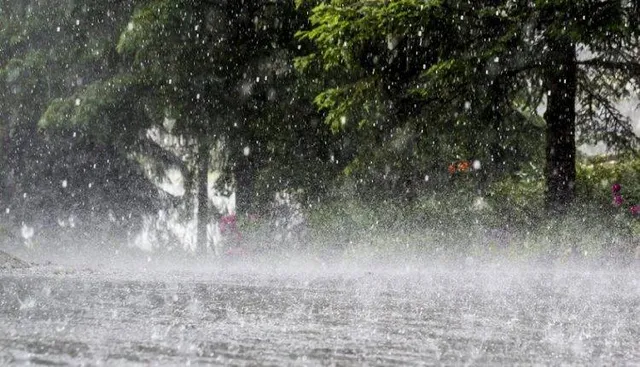 ବରଗଡ଼ ଜିଲ୍ଲାରେ ବନ୍ୟା କଲା ଭଳି ବର୍ଷା