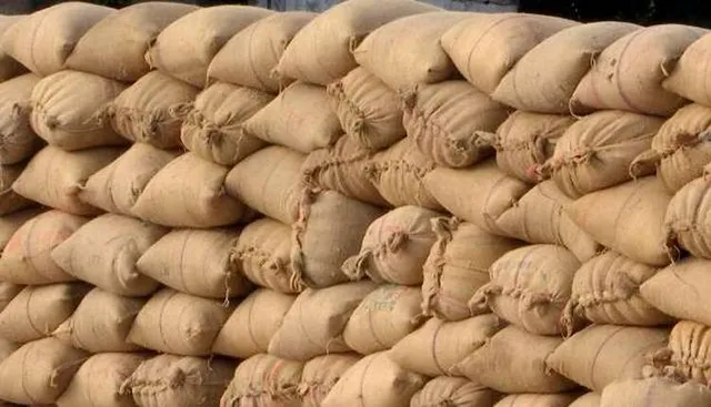 ଖଳାରୁ ୬୦ ବସ୍ତା ଧାନ ଚୋରି