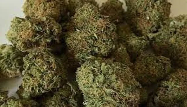 ଗଞ୍ଜେଇ ଭର୍ତ୍ତି ଭ୍ୟାନ୍‌ ଜବତ, ଚାଳକ ଫେରାର୍‌