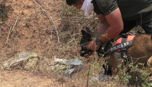 ସନ୍ଦେହରେ ମୃତ୍ୟୁ: ବସ୍ତାରୁ ମିଳିଲା ମହିଳାଙ୍କ ଗଳିତ ଶବ