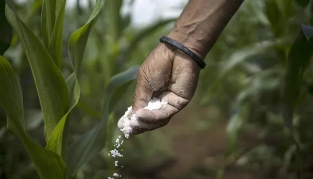 ନକଲି ସାର ଗୋଦାମରେ ଚଢ଼ଉ