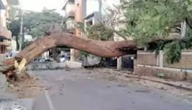 ଗଛପଡ଼ି ୩ ନାବାଳକ ଆହତ