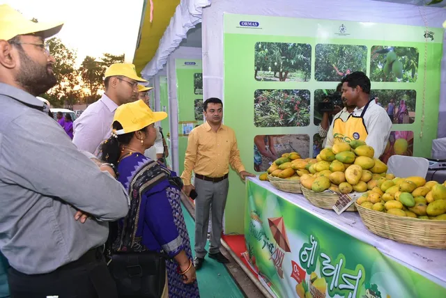 ରାଉରକେଲା ମହାନଗରରେ ‘ଗାଁ ଆମ୍ବ ପସରା'