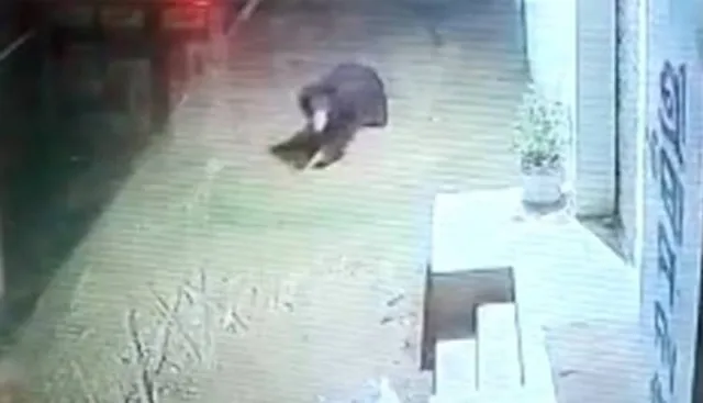 ଗାଁମୁହାଁ ହେଉଛି ଭାଲୁ, ଲୋକେ ଭୟଭୀତ