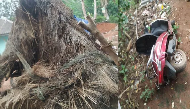 ଏକାଧିକ ଘର ସହିତ ସ୍କୁଟି ଓ ବାଇକ ନଷ୍ଟକଲା ହାତୀ