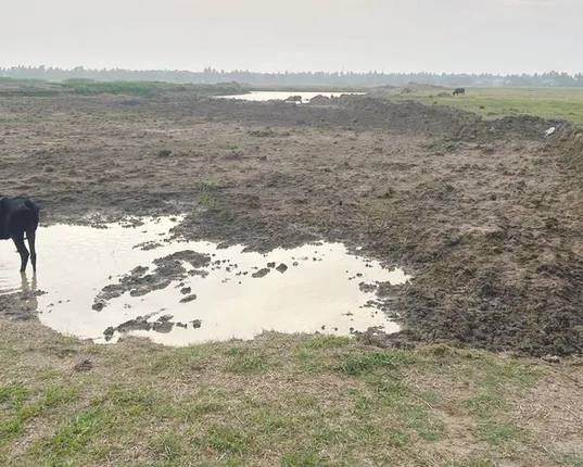 କମୁନି ମାଟି ମାଫିଆଙ୍କ ଦୌରାତ୍ମ୍ୟ: ଜୋର୍‌ ଜବରଦସ୍ତ ଜମି ‌ଖୋଳୁଛନ୍ତି, ପ୍ରତିବାଦ କଲେ ମିଳୁଛି ହତ୍ୟା‌ ଧମକ