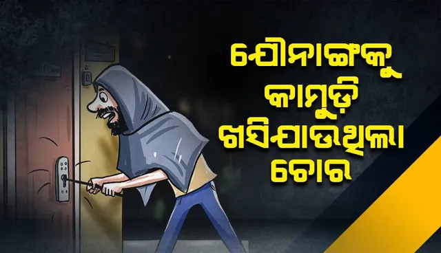 ଯୌନାଙ୍ଗକୁ କାମୁଡ଼ି ଖସିଯାଉଥିଲା ଚୋର