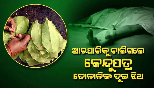 ପେଟ କାଟିବାରୁ ଅସହ୍ୟ ଯନ୍ତ୍ରଣା: ଚାଲିଗଲା ଦୁଇ ଝିଅଙ୍କ ଜୀବନ, ସାପ କାମୁଡ଼ା ଅଭିଯୋଗ