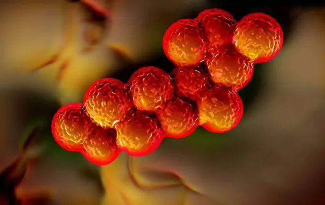 ସୁପର୍‌ବଗ୍‌-ନାଶକ ନୂତନ ଆଣ୍ଟିବାୟୋଟିକ୍ ଉଦ୍ଭାବନରେ ସାହାଯ୍ୟ କଲା ଏଆଇ