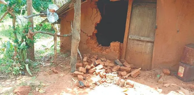 ଫସଲ ଖାଇ କୁଡ଼ିଆ ଭାଙ୍ଗିଲେ ହାତୀପଲ