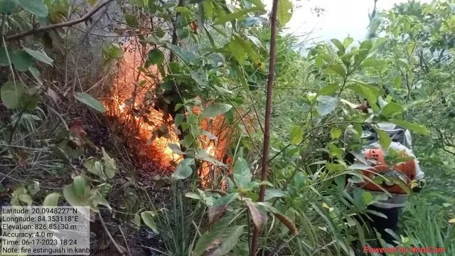 ଜଳୁଛି ବେଟକେରି ଜଙ୍ଗଲ; ଆୟତ୍ତ ପାଇଁ ବନବିଭାଗ କର୍ମଚାରୀଙ୍କ ଉଦ୍ୟମ ଜାରି