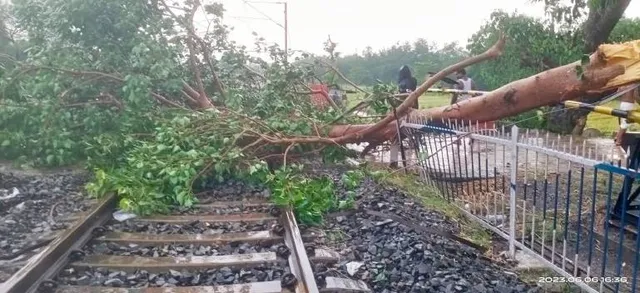 ରେଳଲାଇନ୍‌ ଉପରେ ପଡ଼ିଲା ଗଛ, ୨୦ ମିନିଟ୍‌ ଅଟକିଲା ବନ୍ଦେ ଭାରତ