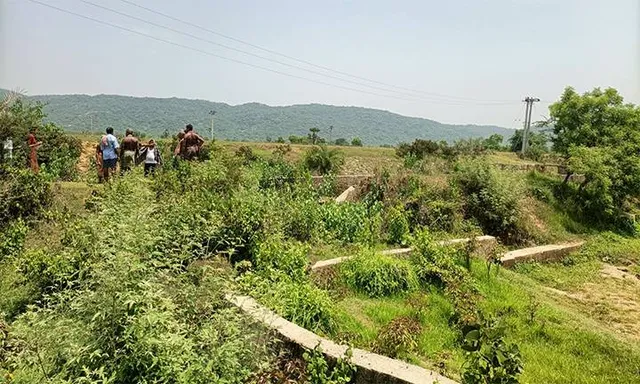 ଭାଙ୍ଗିପଡ଼ିଛି କାମାଢ଼ିଆ ବିଶ୍ୱାଳ ବନ୍ଧ, ପଡ଼ିଆ ପଡ଼ିଛି ୩ ଶହ ଏକର ଚାଷଜମି