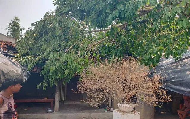 ବଡ଼ଖଲିଗାଁରେ କାଳବୈଶାଖୀରେ ବ୍ୟାପକ କ୍ଷୟକ୍ଷତି