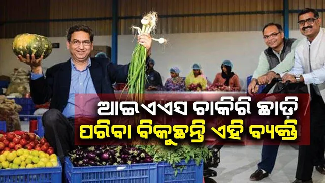 ଆଇଏଏସ ଚାକିରି ଛାଡି କିଏ ପରିବା ବିକୁଛି ତ କିଏ ପୁଣି କରୁଛି ବ୍ୟବସାୟ: ରୋଜଗାର କରୁଛନ୍ତି କୋଟି କୋଟି ଟଙ୍କା