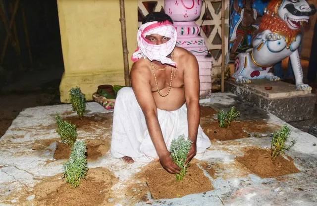 ରଥଯାତ୍ରା ବିଶେଷ : ଦୟଣା ଓ କେତକୀ