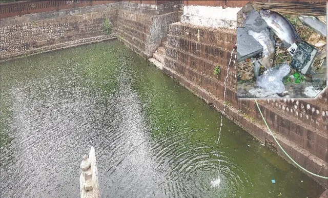 କପିଳେଶ୍ବର‌ ମନ୍ଦିରରେ ପରମ୍ପରା ଭାଙ୍ଗିଲା: ମଣିକର୍ଣ୍ଣିକା ପୁଷ୍କରିଣୀରେ ମାଛ ମଡ଼କ