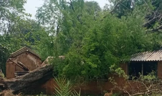 ହରିଚନ୍ଦନପୁର: କାଳବୈଶାଖୀରେ ବ୍ୟାପକ କ୍ଷୟକ୍ଷତି