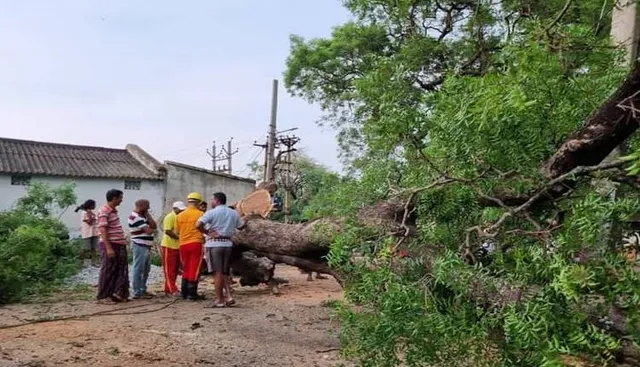 କାଳ ବୈଶାଖୀ: ଗଛ ପଡ଼ି ରାସ୍ତା ଅବରୋଧ