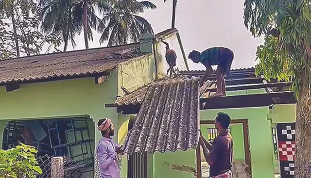 ଫୋନ୍‌-ଇନ୍‌-ପ୍ଲିଜ୍‌: ଭୂତପ୍ରେତକୁ ବିଶ୍ବାସ କରି ସ୍କୁଲ ଭାଙ୍ଗିଲେ