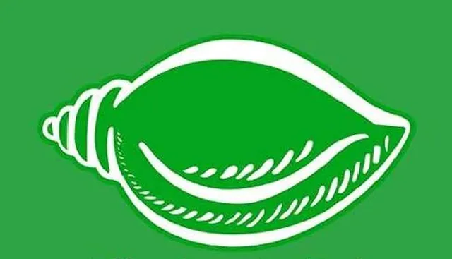 ରାଜଧାନୀ ରାଜନୀତି ସରଗରମ: ବିଜେଡିର ସାଂସଦ ପ୍ରାର୍ଥୀ କିଏ ?