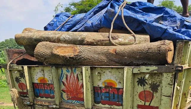 କାଠଗାଡ଼ି ଜବତ, ଡ୍ରାଇଭର ଅଟକ