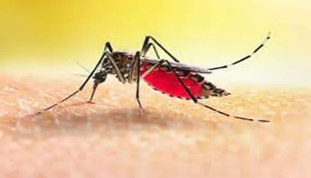 ଘୁ.ଉଦୟଗିରି: ୨ ଡେଙ୍ଗୁ ଆକ୍ରାନ୍ତ ଚିହ୍ନଟ