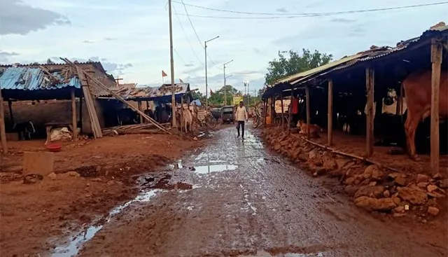 ଡରାଇଲାଣି ଡେଙ୍ଗୁ:-ବର୍ଷକରେ ୧୪୭ ଡେଙ୍ଗୁ ରୋଗୀ ଚିହ୍ନଟ