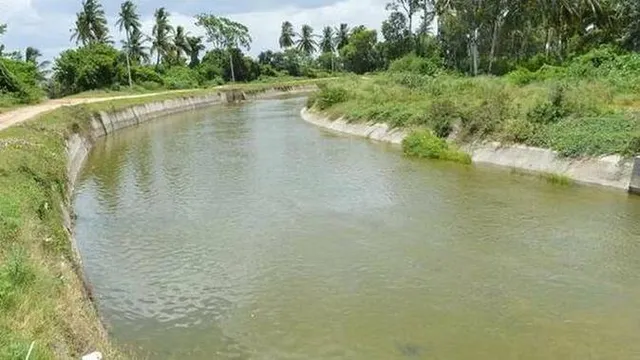 କେନାଲରେ ଖସିପଡିଲା କାର, ୪ ଜଣଙ୍କର ମୃତ୍ୟୁ