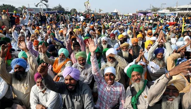 ଝାଉଁଳି ନଯାଉ ସୂର୍ଯ୍ୟମୁଖୀ