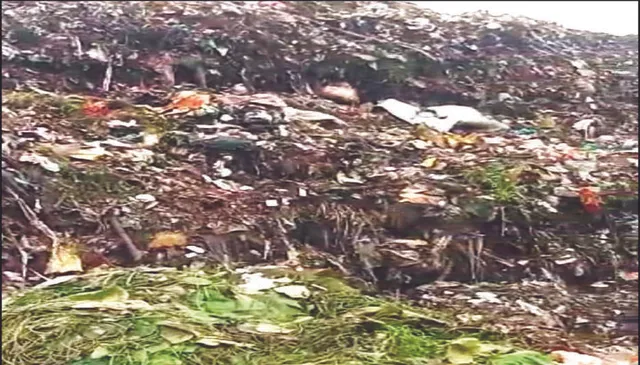 ପାହାଡ଼ ଉଚ୍ଚର ଗଦା ହେଲାଣି ଅଳିଆ: ଟିଟିଏସ୍‌ରେ ଦାରୁଠେଙ୍ଗ ସ୍ଥିତି, ବଢ଼ୁଛି ଅସନ୍ତୋଷ, ବିଏମ୍‌ସି ନିଦାବିଷ୍ଣୁ