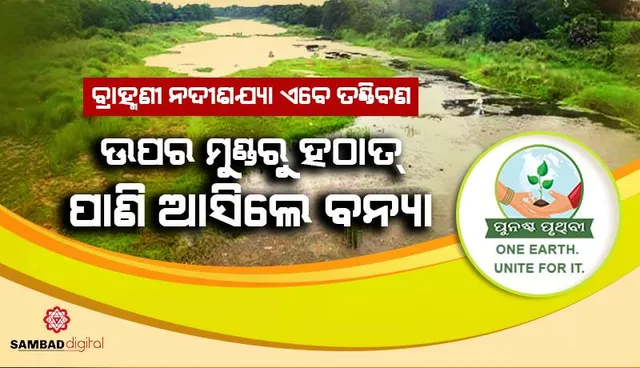 ବ୍ରାହ୍ମଣୀ ନଦୀଶଯ୍ୟା ଏବେ ତଣ୍ଡିବଣ, ବର୍ଷାଋତୁରେ ବି ନଦୀଶଯ୍ୟା ଶୁଷ୍କ