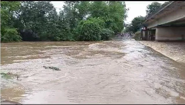 ମାଲକାନଗିରିରେ ବନ୍ୟା: ପୋଟେରୁ ପୋଲ ଉପରେ ବନ୍ୟା ଜଳ ପ୍ରବାହିତ, ଆନ୍ଧ୍ର-ତେଲେଙ୍ଗାନାକୁ ଯୋଗାଯୋଗ ବିଚ୍ଛିନ୍ନ