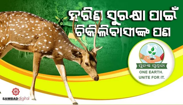 ହରିଣ ସୁରକ୍ଷା ପାଇଁ ଚିକିଲିବାସୀଙ୍କ ପଣ