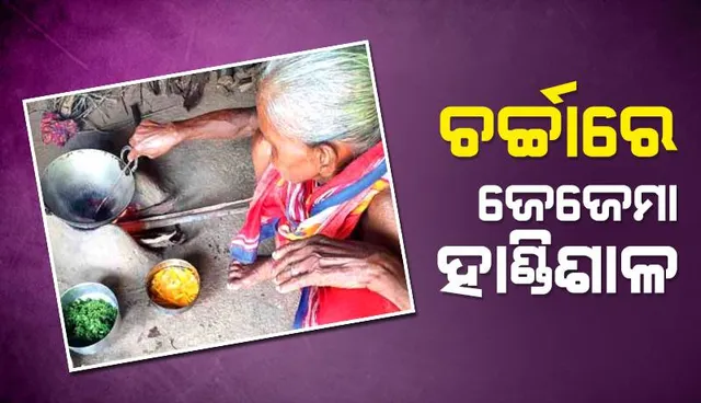 ଚର୍ଚ୍ଚାରେ ଜେଜେମା ହାଣ୍ଡିଶାଳ, ପାରମ୍ପରିକ ରୋଷେଇର ଚାଟଶାଳୀ