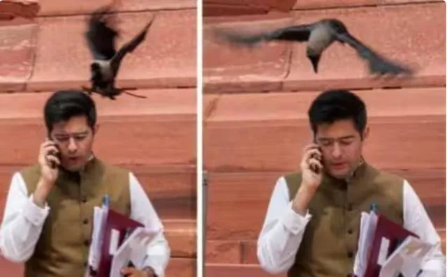 କୁମାର ବିଶ୍ୱାସ କାଉ ବେଶରେ ଆସି ଖୁମ୍ପିଛନ୍ତି: ଆପ ବିଧାୟକ