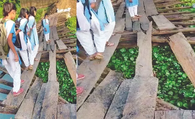 ଭାଙ୍ଗିଲା ତିନିକୁଦି କାଠ ପୋଲ: ବର୍ତ୍ତିଲେ ୨୦ ଛାତ୍ରଛାତ୍ରୀ, ଶିକ୍ଷକ-ଶିକ୍ଷୟିତ୍ରୀ