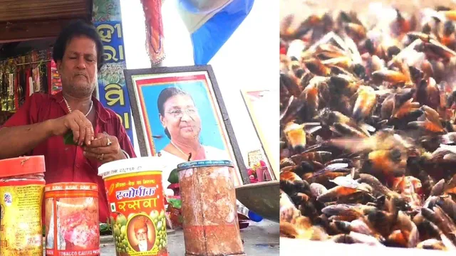 ପାନ ଦୋକାନରେ ମହୁମାଛିଙ୍କ ଆସର; ସକାଳେ ଆସନ୍ତି, କାହାରିକୁ କ୍ଷତି ପହଞ୍ଚାନ୍ତି ନାହିଁ