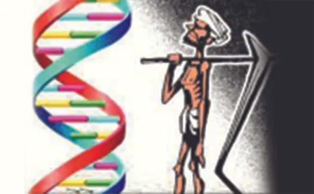 ବିଶ୍ବ ସ୍ବାସ୍ଥ୍ୟ ସଂଗଠନ ରିପୋର୍ଟ: କମୁଛି ଚାଷୀର ଆୟୁଷ