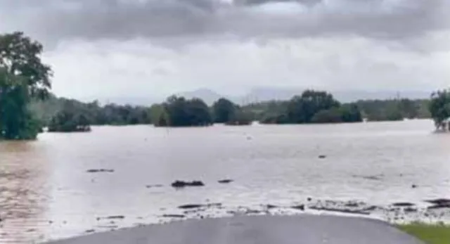 ପୁରୀ ଜିଲ୍ଲାରେ ପଶିଲା ବନ୍ୟାଜଳ: ଫୁଲିଲା ଦୟା, ଭାର୍ଗବୀ