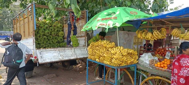 ଆଜି ଜାତୀୟ କଦଳୀ ଦିବସ: ଆନ୍ଧ୍ର କଦଳୀ କବ୍‌ଜାରେ ରାଜଧାନୀ ବଜାର