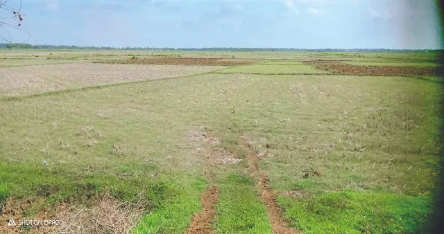 ବିବାଦ ପରେ ସଂଶୋଧନ ହେବ ଜମି ହସ୍ତାନ୍ତର ନିଷ୍ପତ୍ତି, ଗୃହରେ ସୂଚନା ଦେଲେ ସଂସଦୀୟ ବ୍ୟାପାର ମନ୍ତ୍ରୀ