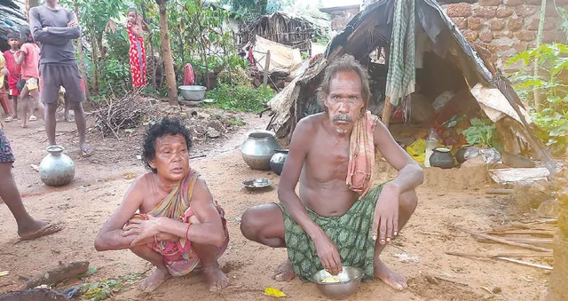 ଲଗାଣ ବର୍ଷାରେ ବେହାଲ ମାଙ୍କିଡ଼ିଆ ଜୀବନ: ଓଦା କୁଡ଼ିଆରେ ଆହାର ଚିନ୍ତା