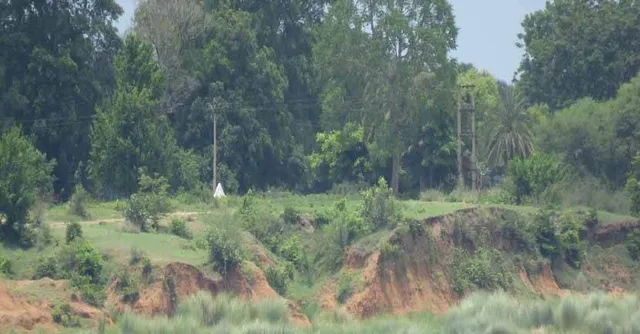 ପ୍ରତିବର୍ଷ କୂଳ ଖାଉଛି ମହାନଦୀ: ଅସ୍ତିତ୍ବ ହରାଇବ ମର୍ଜାକୁଦ!