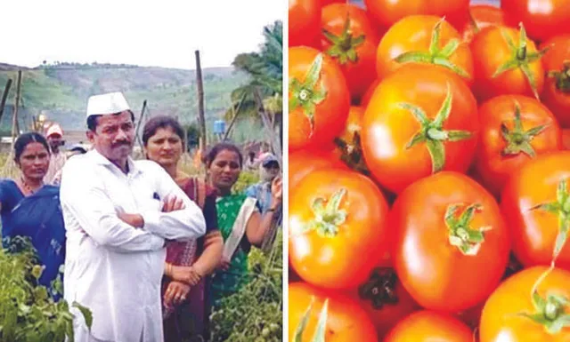 ଟମାଟୋ ବିକି ମହାରାଷ୍ଟ୍ରର କୃଷକ ମାସକରେ କୋଟିପତି
