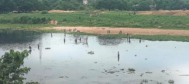 ଦୟାନଦୀରେ ଭାସୁଛନ୍ତି ହଜାର ହଜାର ମଲା ମାଛ; ପ୍ରଦୂଷିତ କରୁଛି ଭୁବନେଶ୍ବର ସହର ଓ ଗଙ୍ଗୁଆ ନାଳ